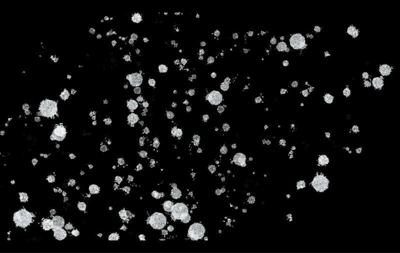 MOTION GRAPHICS